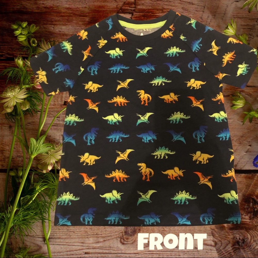 Little boys Dino dinosaur print shirt